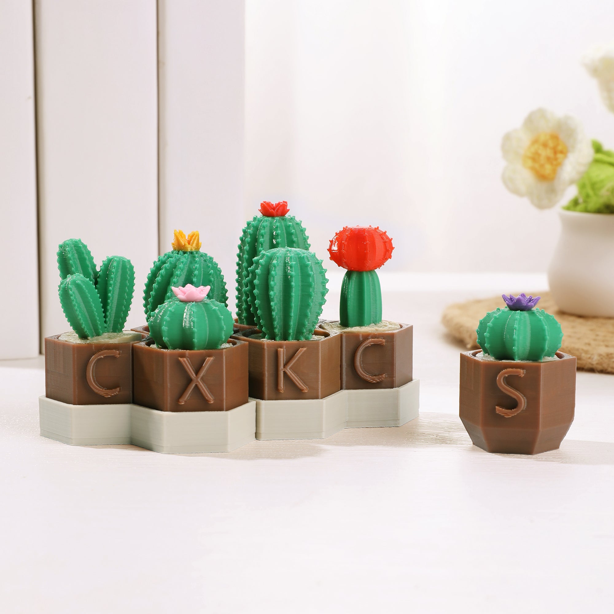 Personalizado 3D Impreso Mini Cactus Clicky Fidget Juguetes con Inicial Alivio del Estrés Escritorio Compañero Regalo de cumpleaños para los amantes de las plantas TDAH Adultos
