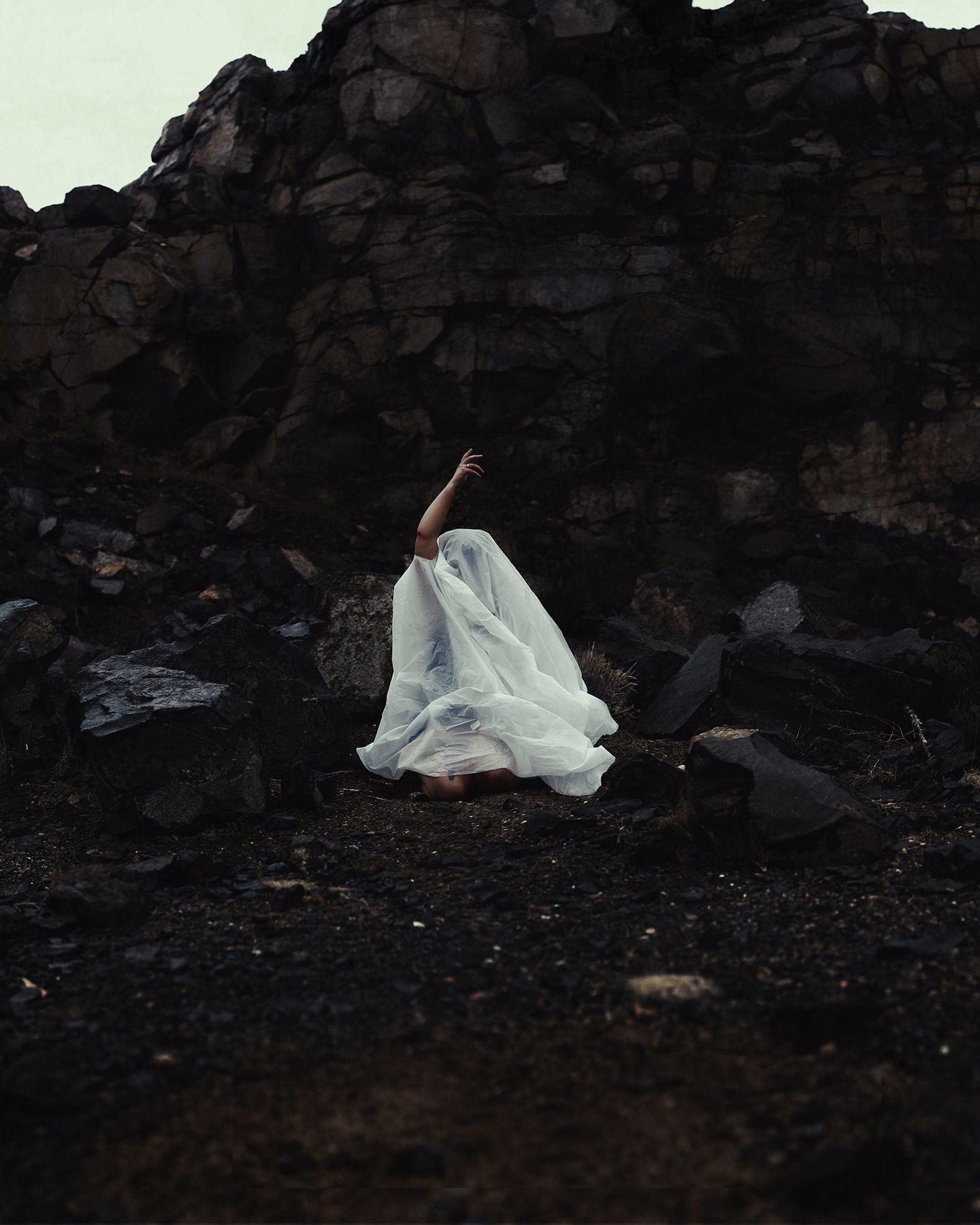 Awakening | Photography