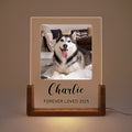 Personalizada 1-5 Fotos Acrílico LED Luz de Noche con Base de Madera Nombre y Texto Decoración del Hogar Cumpleaños Aniversario Regalo para Dueño de Mascota