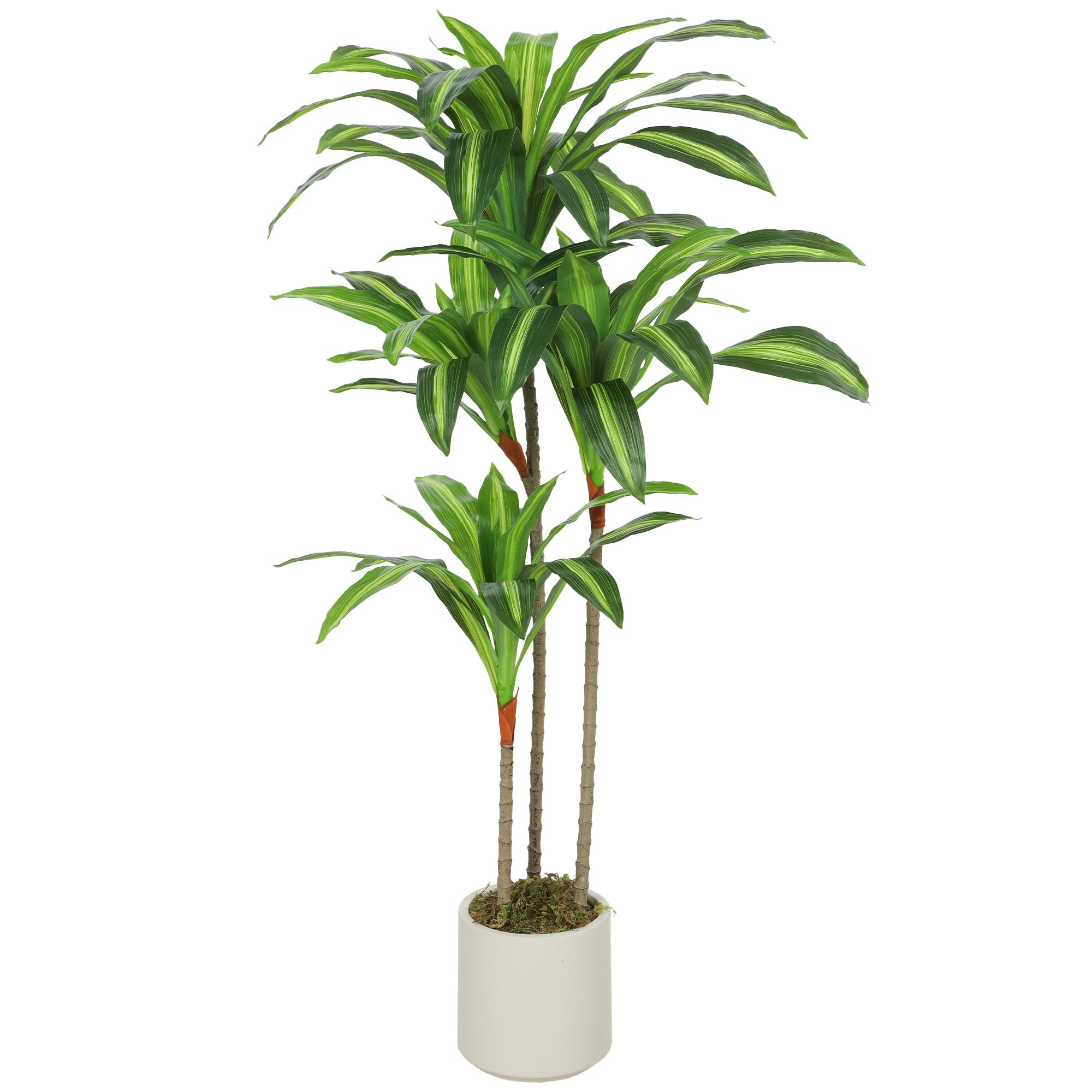 Margovil