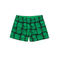Men's Green Polyamide Swim Shorts