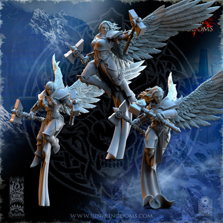 Valkyries Elite Guard, The Beholder Miniatures