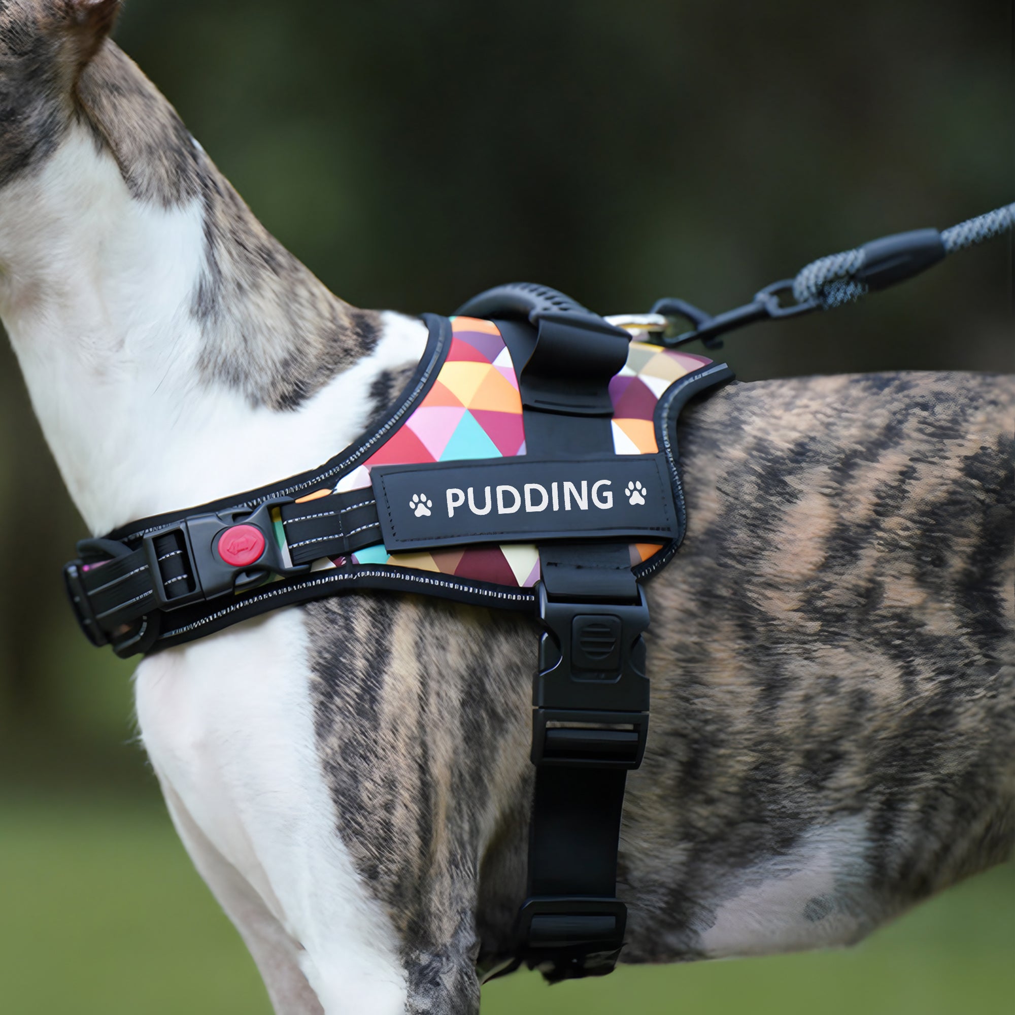 Personalizado Corazón Pata Imprimir Hueso Diseño Ajustable Reflectante Perro Arnés Chaleco con Nombre Pet Party Cumpleaños Regalo para Pet Lovers Propietarios