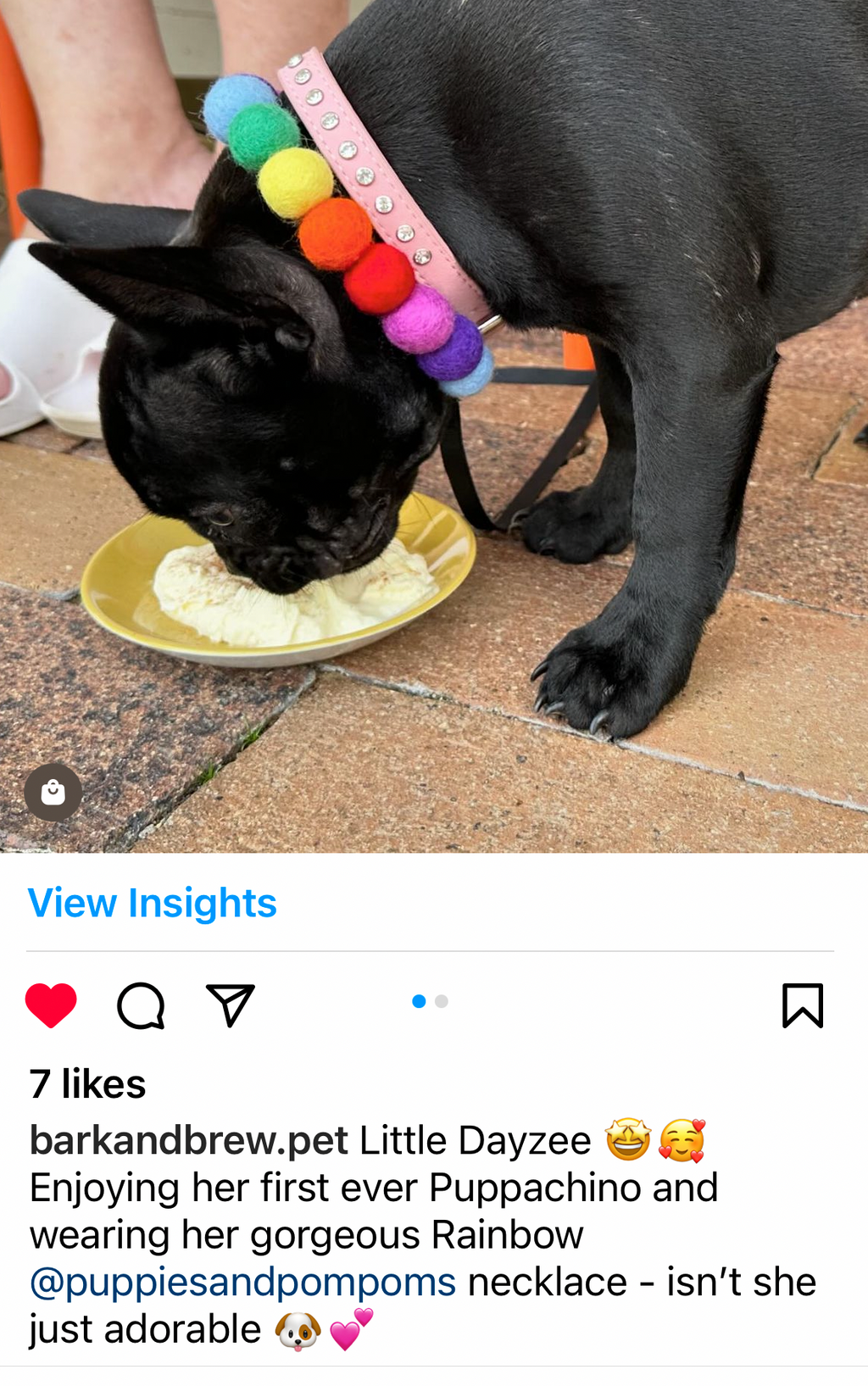 Collar para perro con pompones personalizados - Bolas de 2 cm arcoíris brillantes