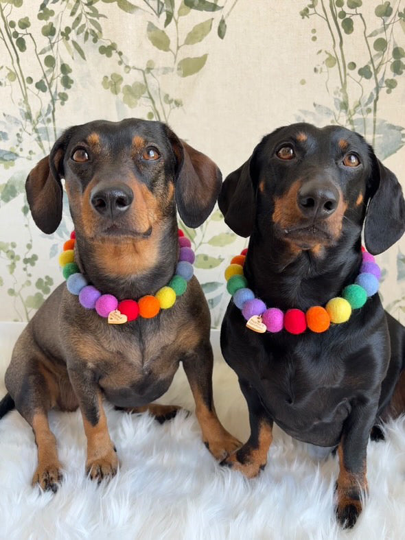 Personalised Pom Pom Dog Collar - Rainbow Brights 2cm Balls