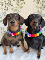 Personalised Pom Pom Dog Collar - Rainbow Brights 2cm Balls