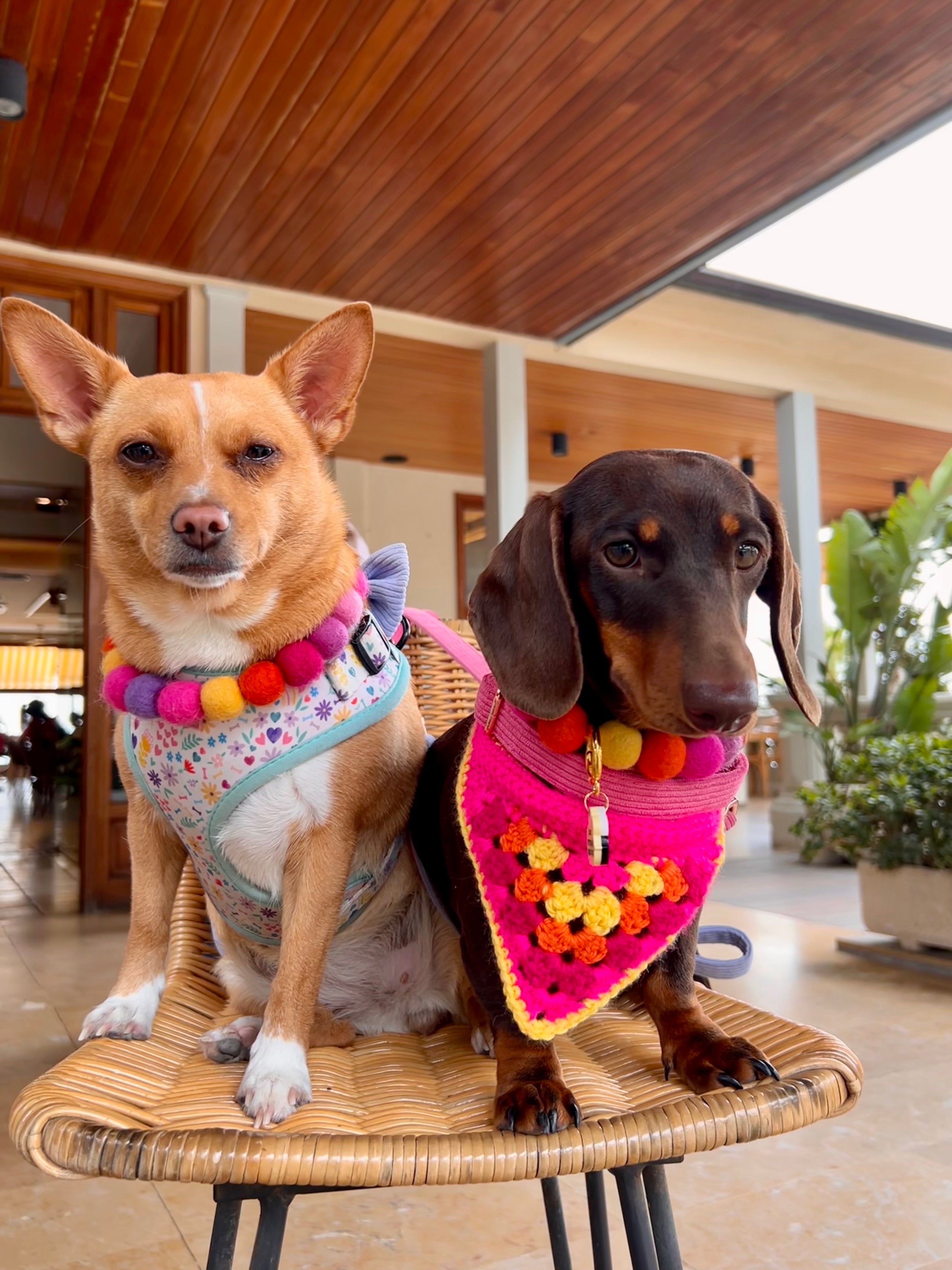 Crochet Dog Bandana - Hot Pink