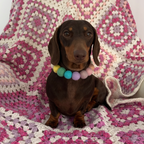 Spring Blue Flower - Personalised Pom Pom Dog Collar