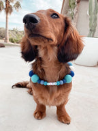 Collare personalizzato per cani con pon pon - Blu