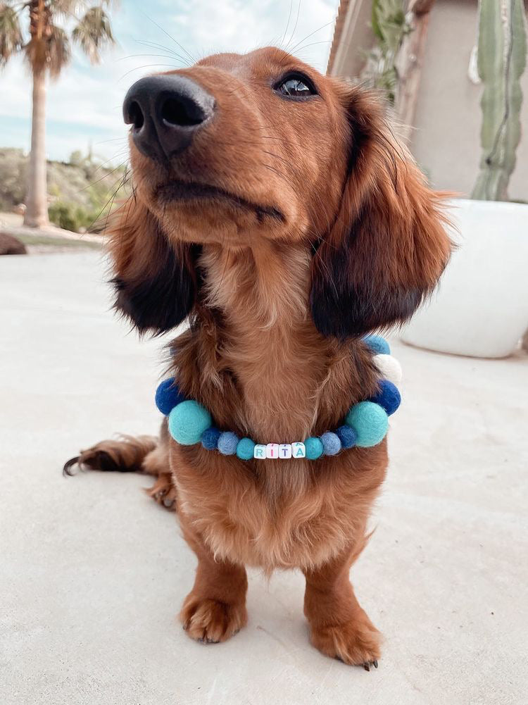 Collare personalizzato per cani con pon pon - Blu