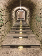 Day 2: Historic Visit to Dalt Vila