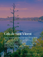 5 Best Places to Fish in Ibiza