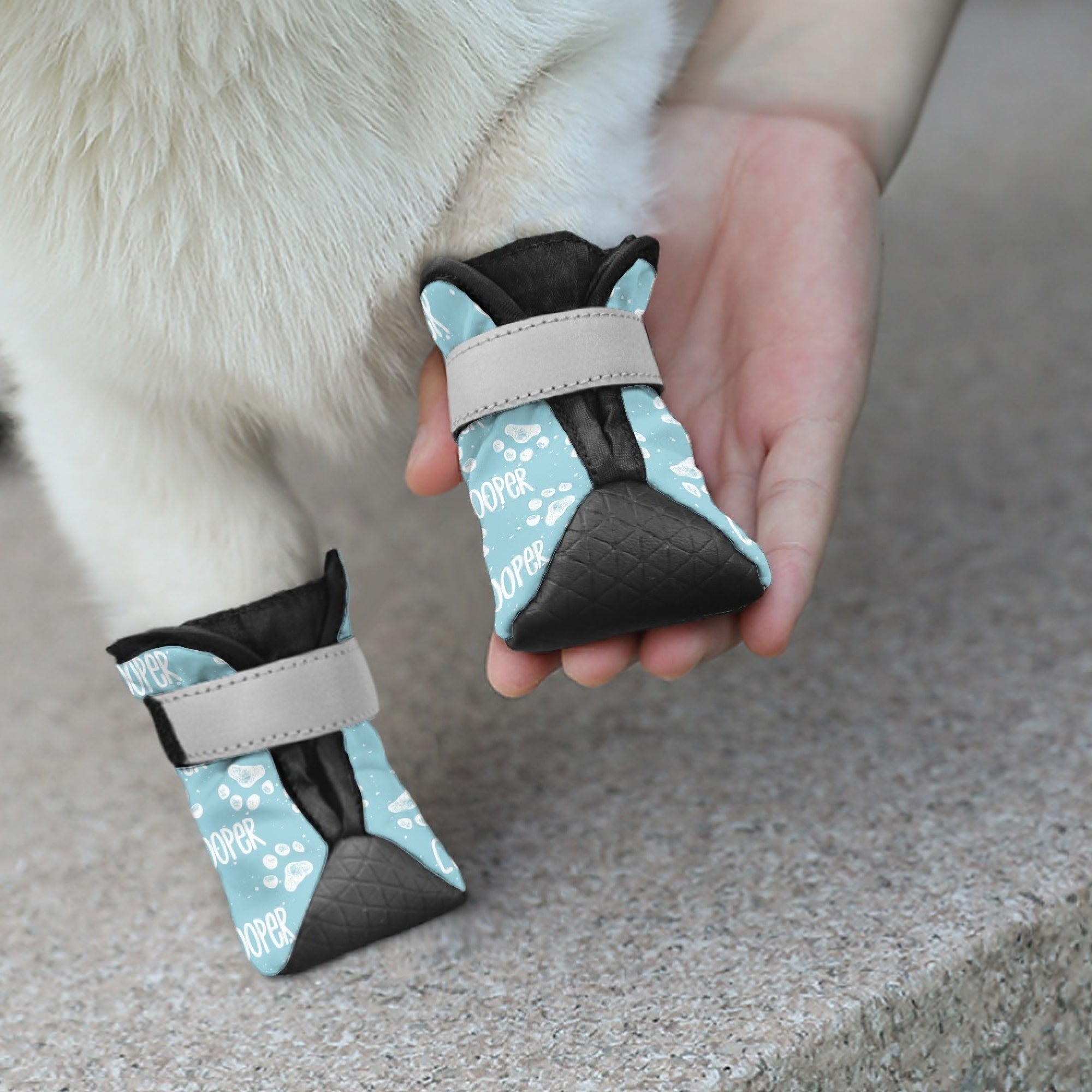 Personalizado Multicolor Paw Print antideslizante zapatos de perro para el pavimento caliente con el nombre al aire libre Accesorios Regalo de cumpleaños para los dueños de perros