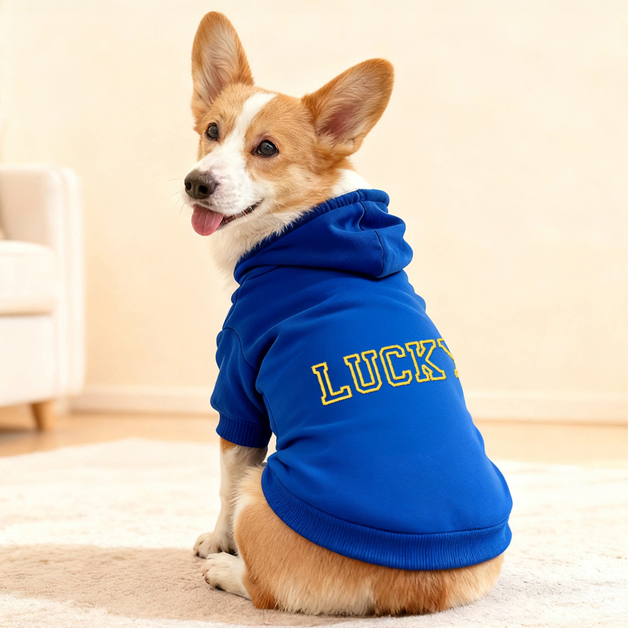 Personalizado Multicolor Bordado Nombre Suave Cálido Perro Gato Sudadera con capucha Ropa para Mascotas Cumpleaños Día de la Adopción de Mascotas Regalo para el amante de la mascota Propietario