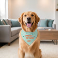 Bandana personalizada para mascotas Show Girl I Protect the Family con nombre y hebilla ajustable Regalo de cumpleaños para amantes de las mascotas