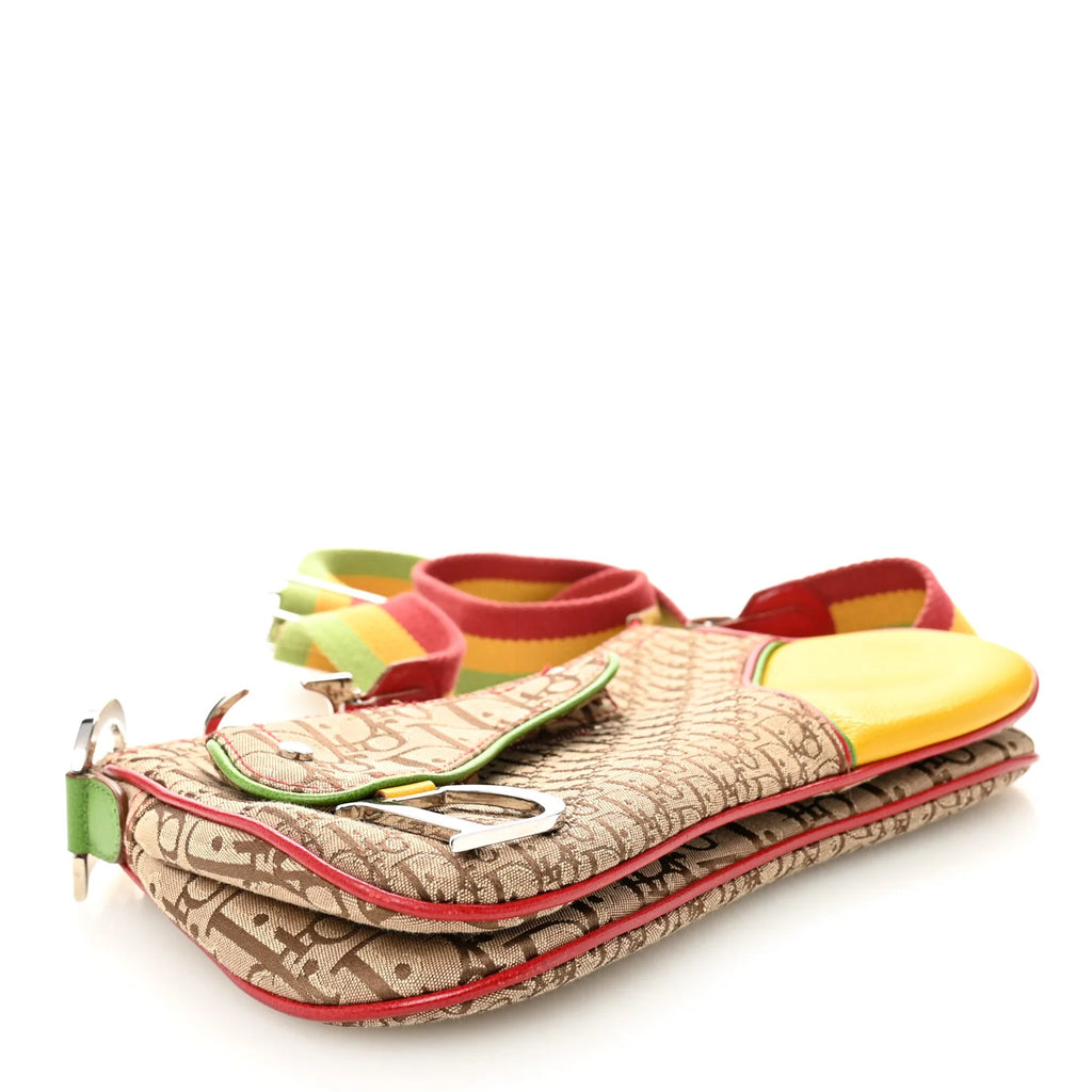 Christian Dior Monogram Rasta Double Saddle Beige
