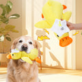 Personalizado lindo pato amarillo Squeaky suave juguete de peluche con nombre para la dentición de mascar mascota interactiva Suministros Cumpleaños Aniversario de regalo para los amantes de las masco