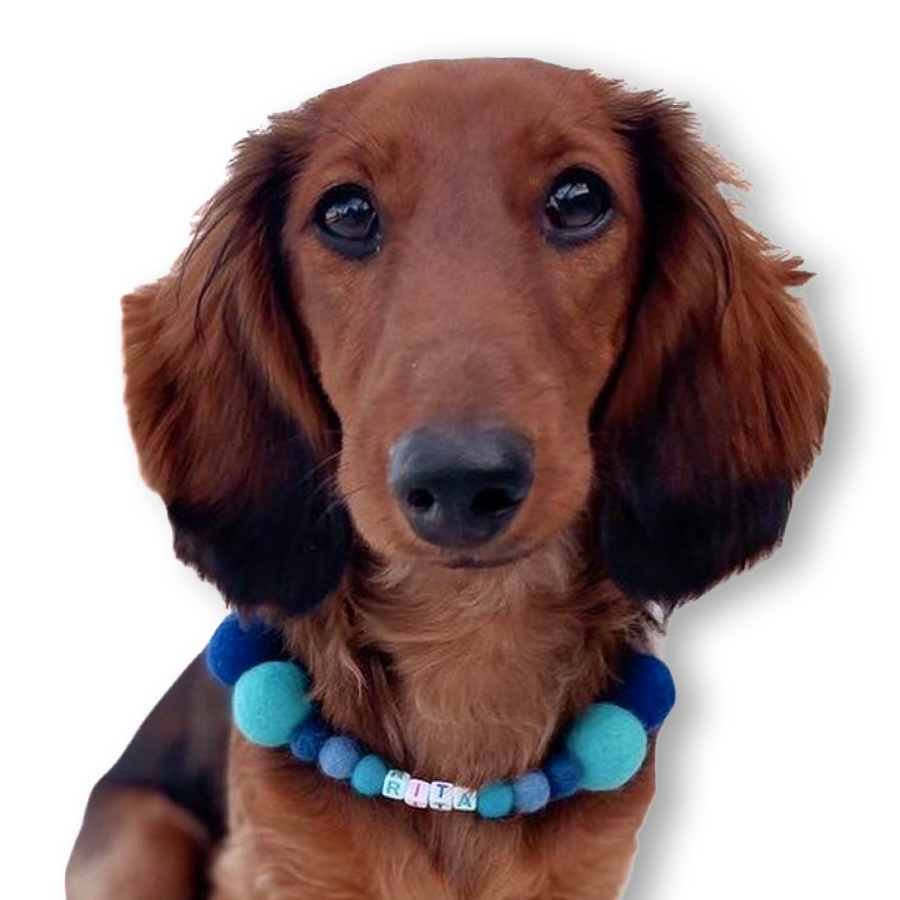 Collare personalizzato per cani con pon pon - Blu