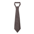 Brown STRAP Tie