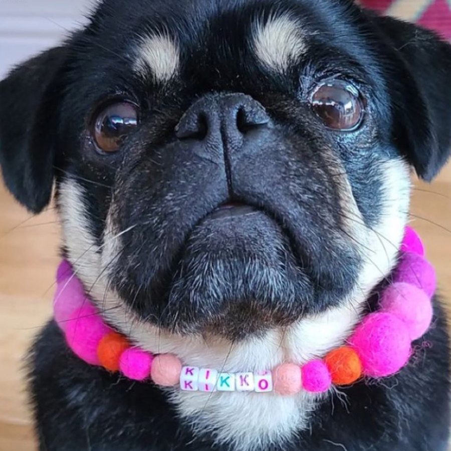 Pink - Personalised Pom Pom Dog Collar