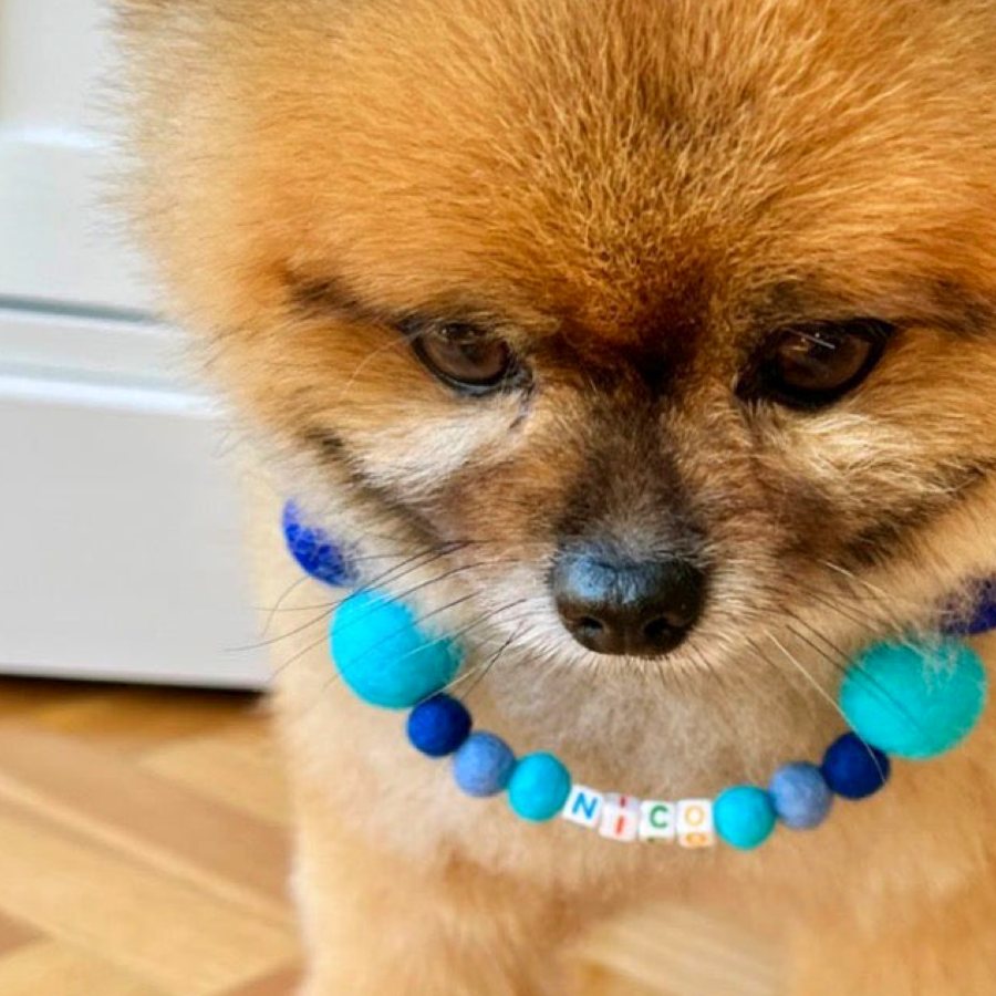 Collare personalizzato per cani con pon pon - Blu