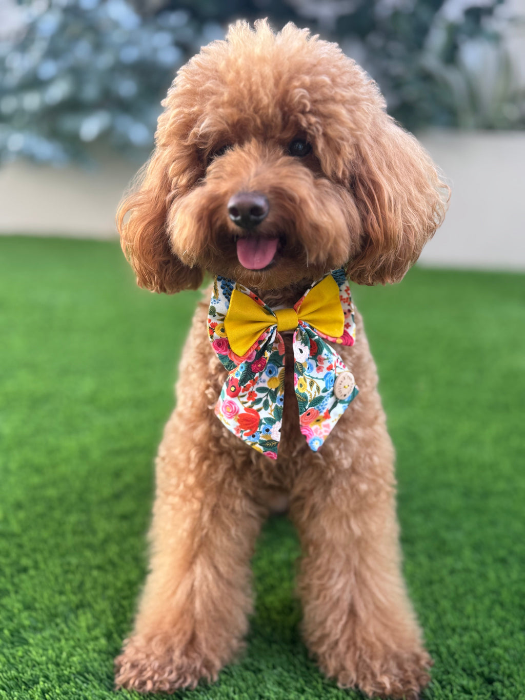 Handmade Dog Sailer Bow Tie - Double Bow - Small  "Garden Party"