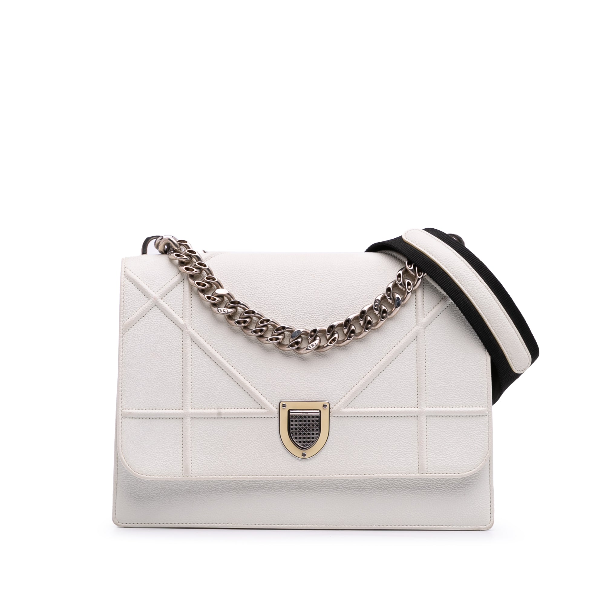 Large Grained Calfskin Diorama Satchel