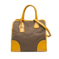 Saffiano Trimmed Canvas Canapa Logo Satchel