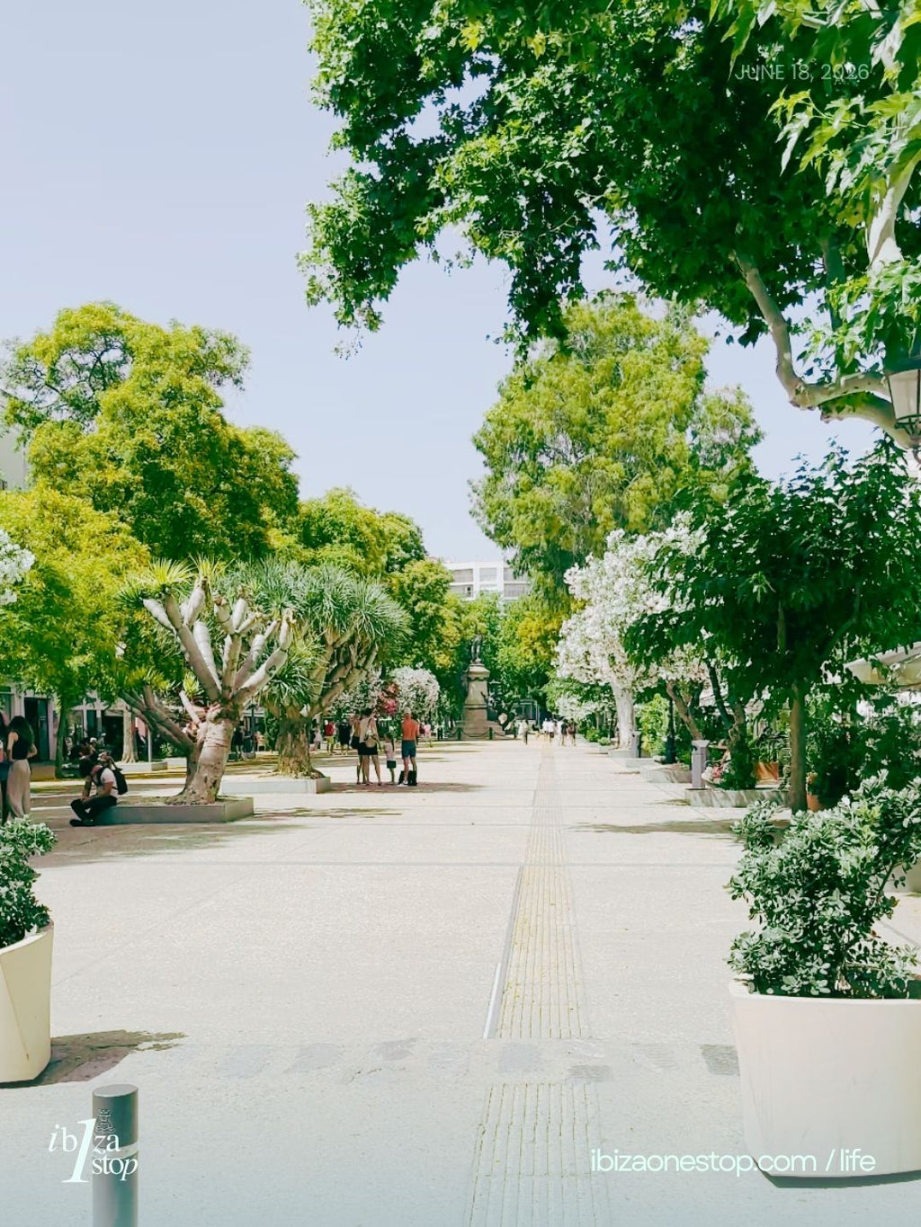 Ibiza Life: Morning in Ibiza Town 18.06.26
