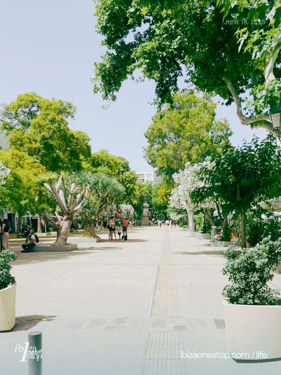 Ibiza Life: Morning in Ibiza Town 18.06.26