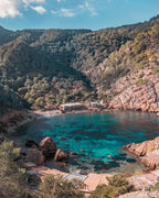 Dive into Sustainability: Join a Seafood Sustainable Fishing Tour in Ibiza