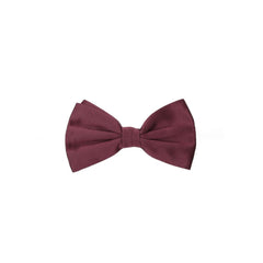 Men's Bordeaux Silk Bowtie Accessory