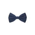 Men's Blue Silk Bowtie Accessory