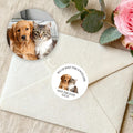 Adhesivo impermeable personalizado con el nombre de su mascota Decoración de regalo de boda para recién casados