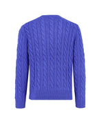 Polo Ralph Lauren Sweaters Blue Cotone - M