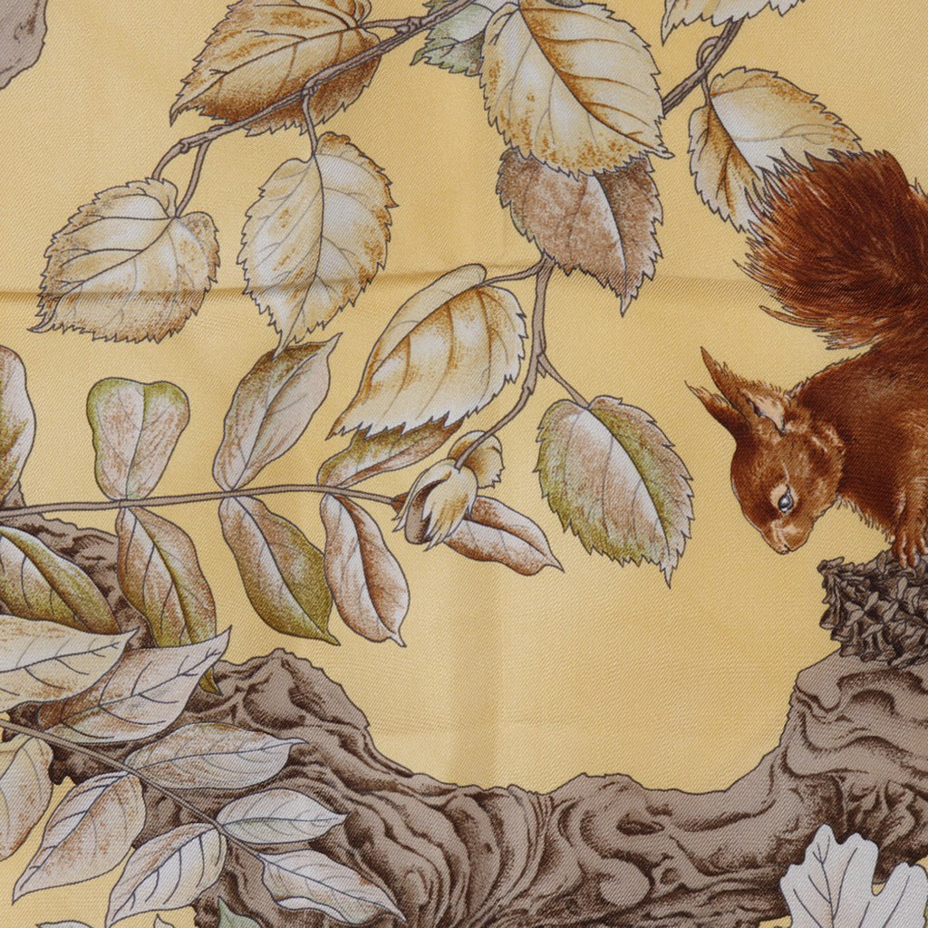 Casse Noisette Silk Scarf 90