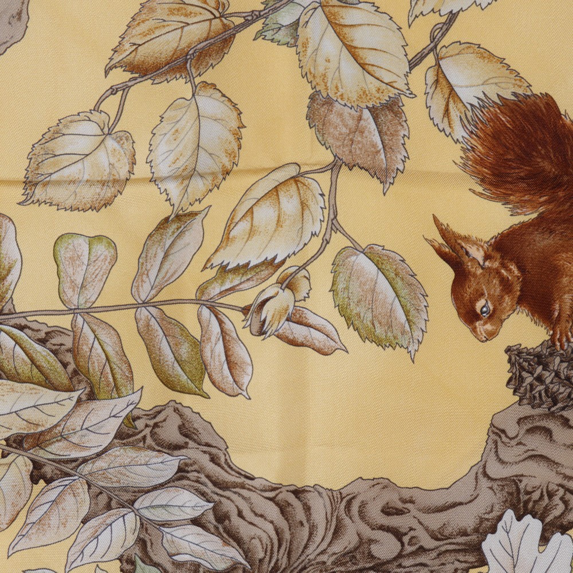 Casse Noisette Silk Scarf 90