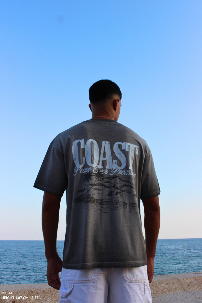 Gray Island T-shirt