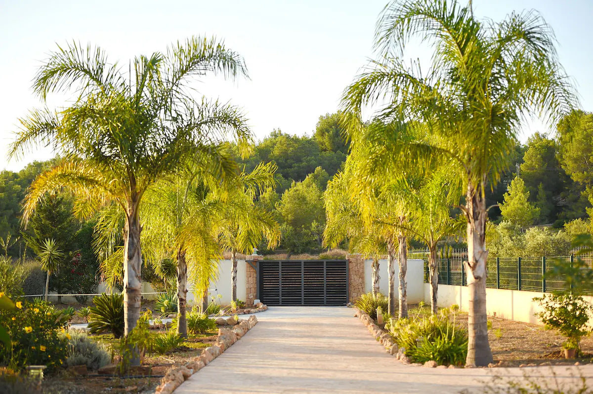 Modern Ibiza Villa with Stylish Interiors and a Massive Pool in San Antonio