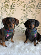Cornish Hunting Tartan - Bandana - Tie-on