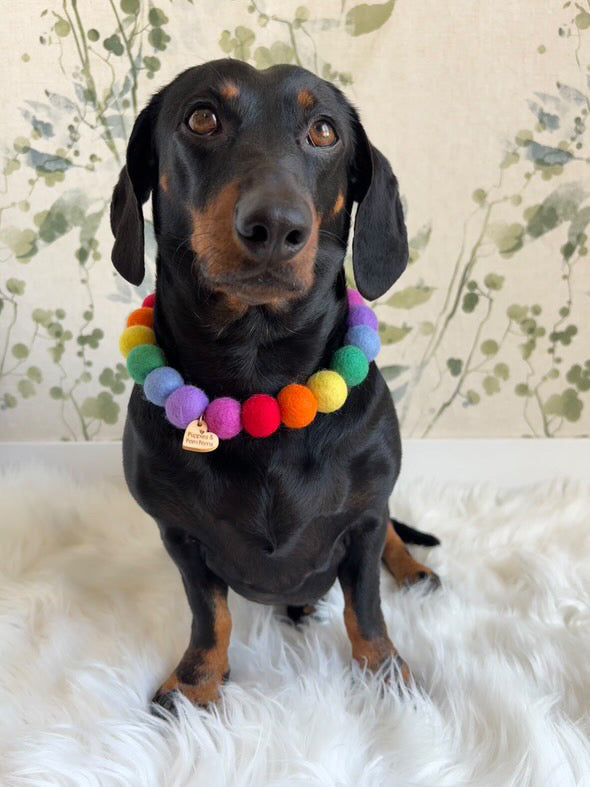 Personalised Pom Pom Dog Collar - Rainbow Brights 2cm Balls