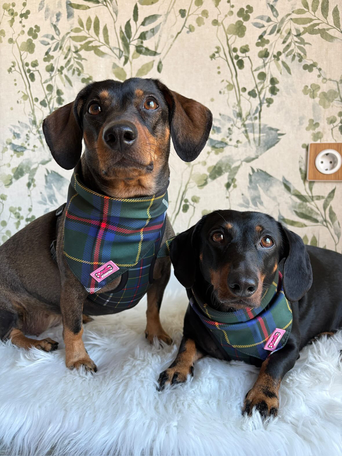 Cornish Hunting Tartan - Bandana - Tie-on