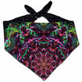 Galactic Portal Bandana