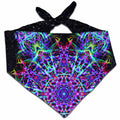 Stargate Bandana