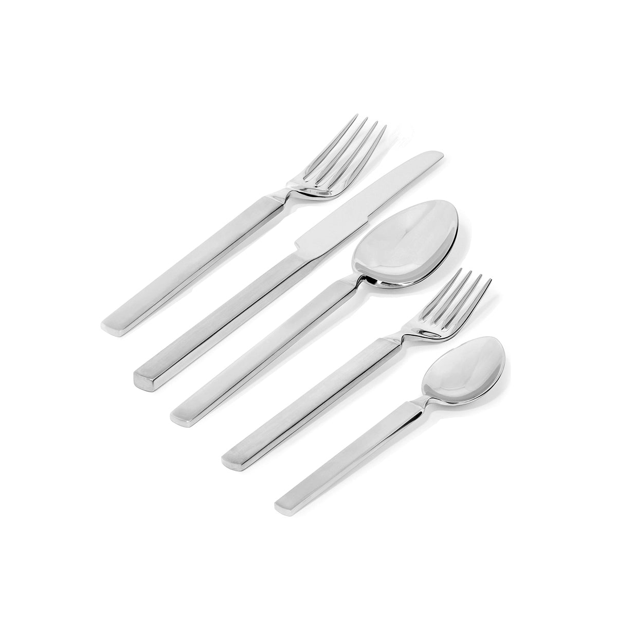 Dry Table Spoon