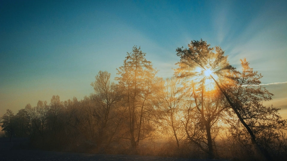 A Softer Side of Ibiza