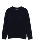 Blue Sweater with Round Neck and Pony Embroidery on the Front in Wool Cashmere Boy Blu Jersey