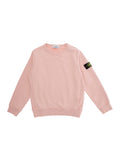 Pink Crewneck Sweatshirt with Logo Patch on the Sleeve in Cotton Boy Sweatshirts