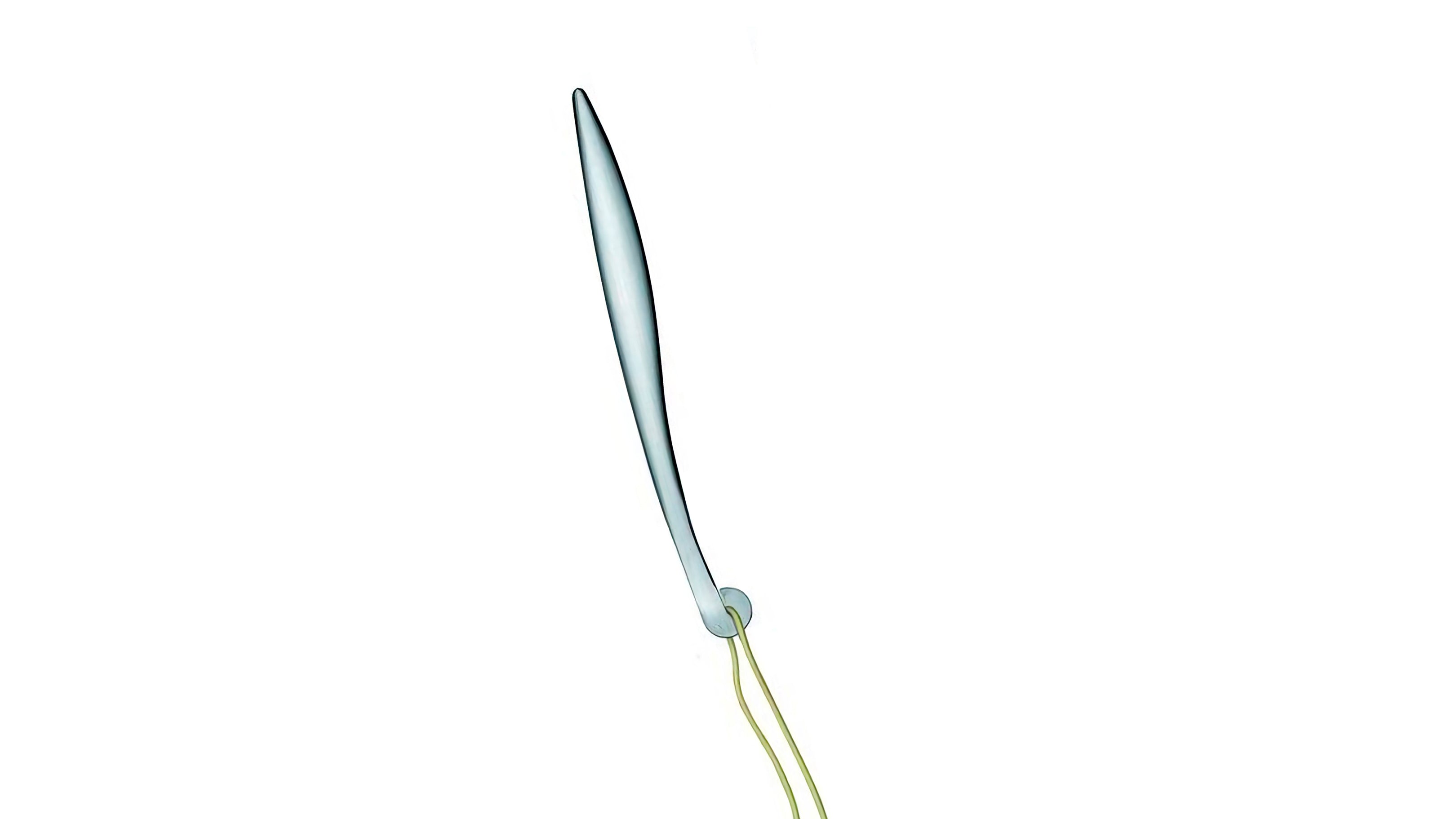 Al Dente Spaghetti Tester