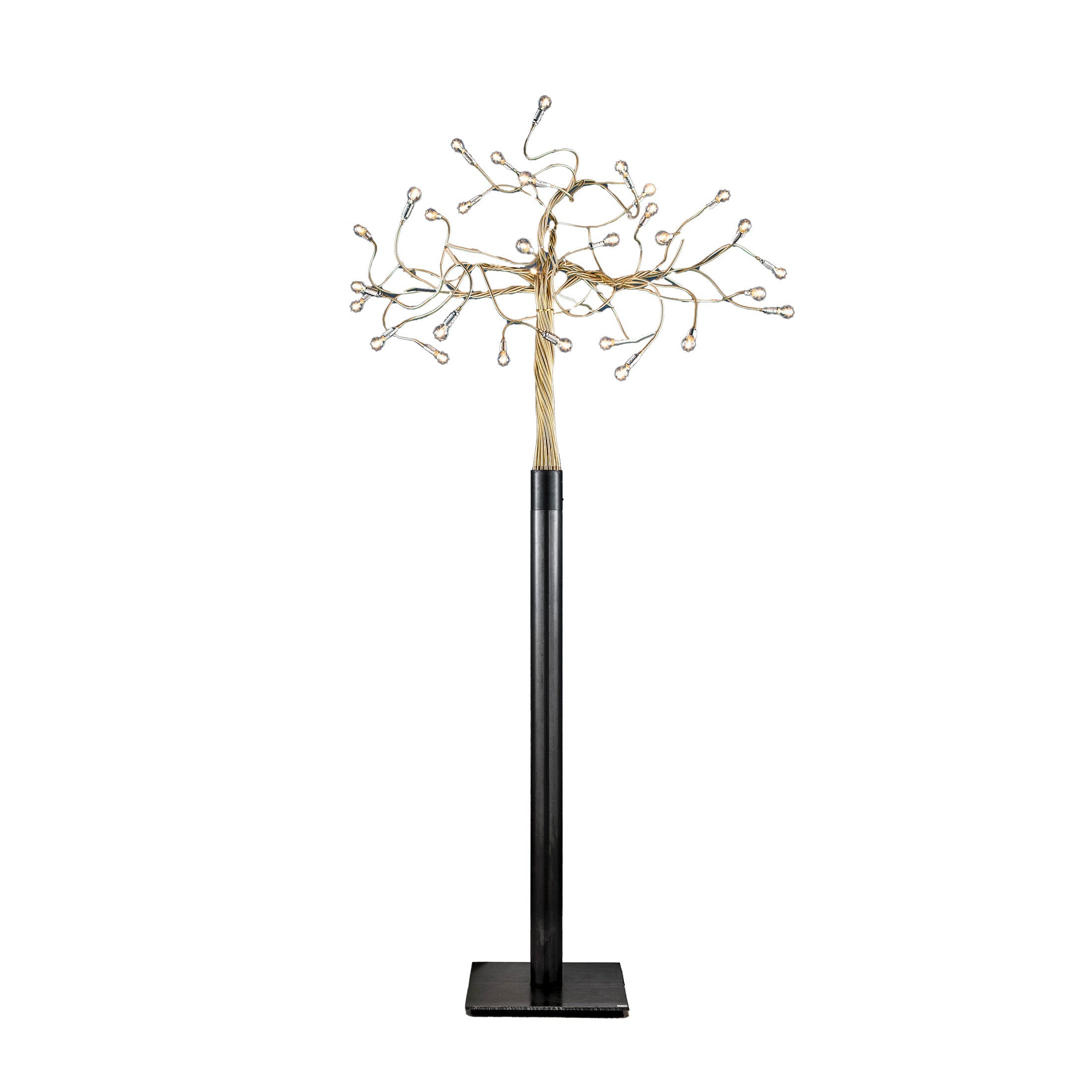 Albero della Luce